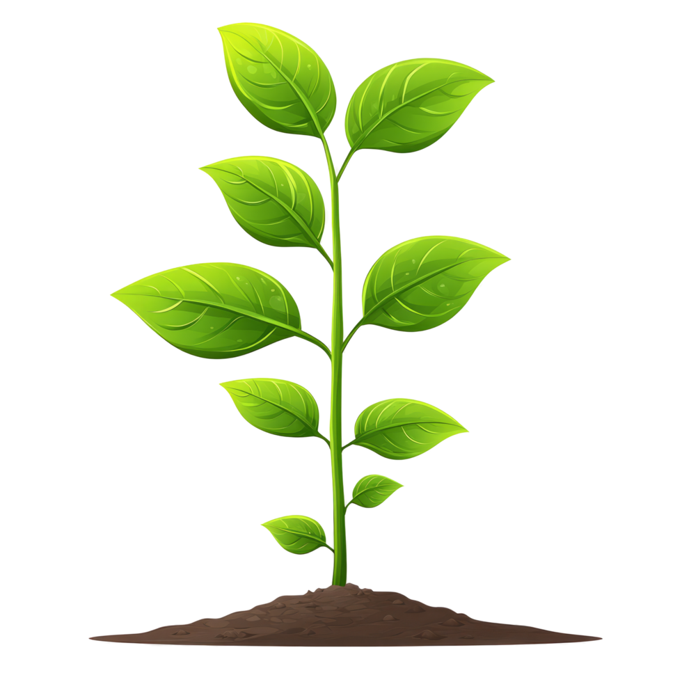 Green Plant Growing Out Of The Soil On Black Background. Symbol Of Growth, Nature. png