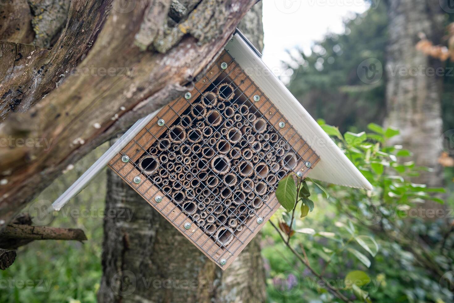 Bamboo stick insect house on tree in garden park. Homemade bug refuge, pollinator eco habitat photo