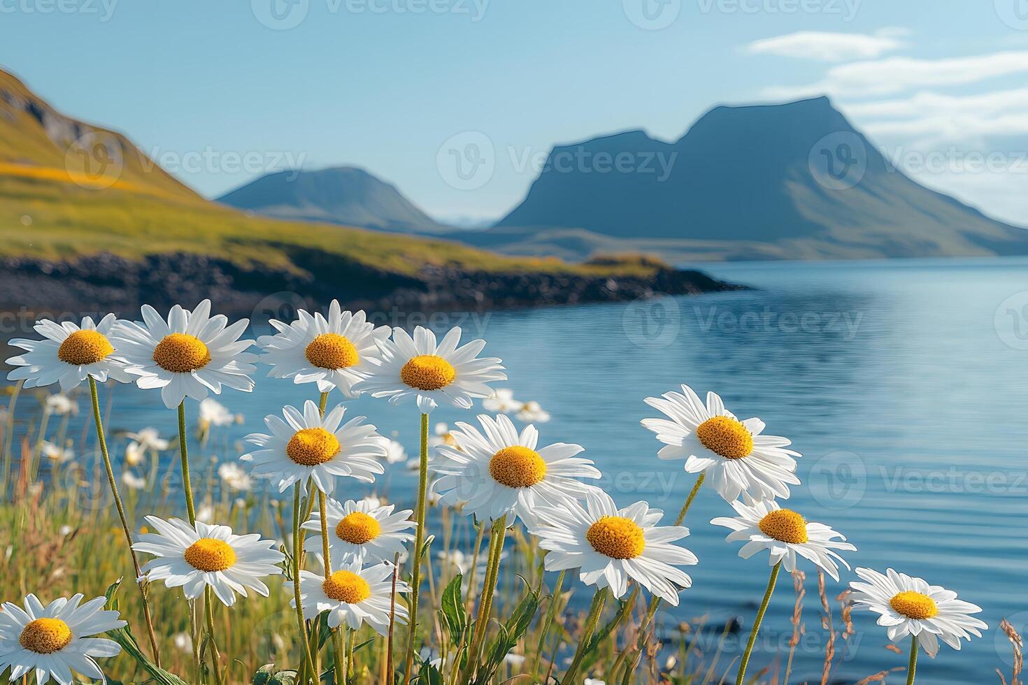 Scenic Summer Landscape with Daisies and Mountain Lake for Tranquil Nature Photography photo