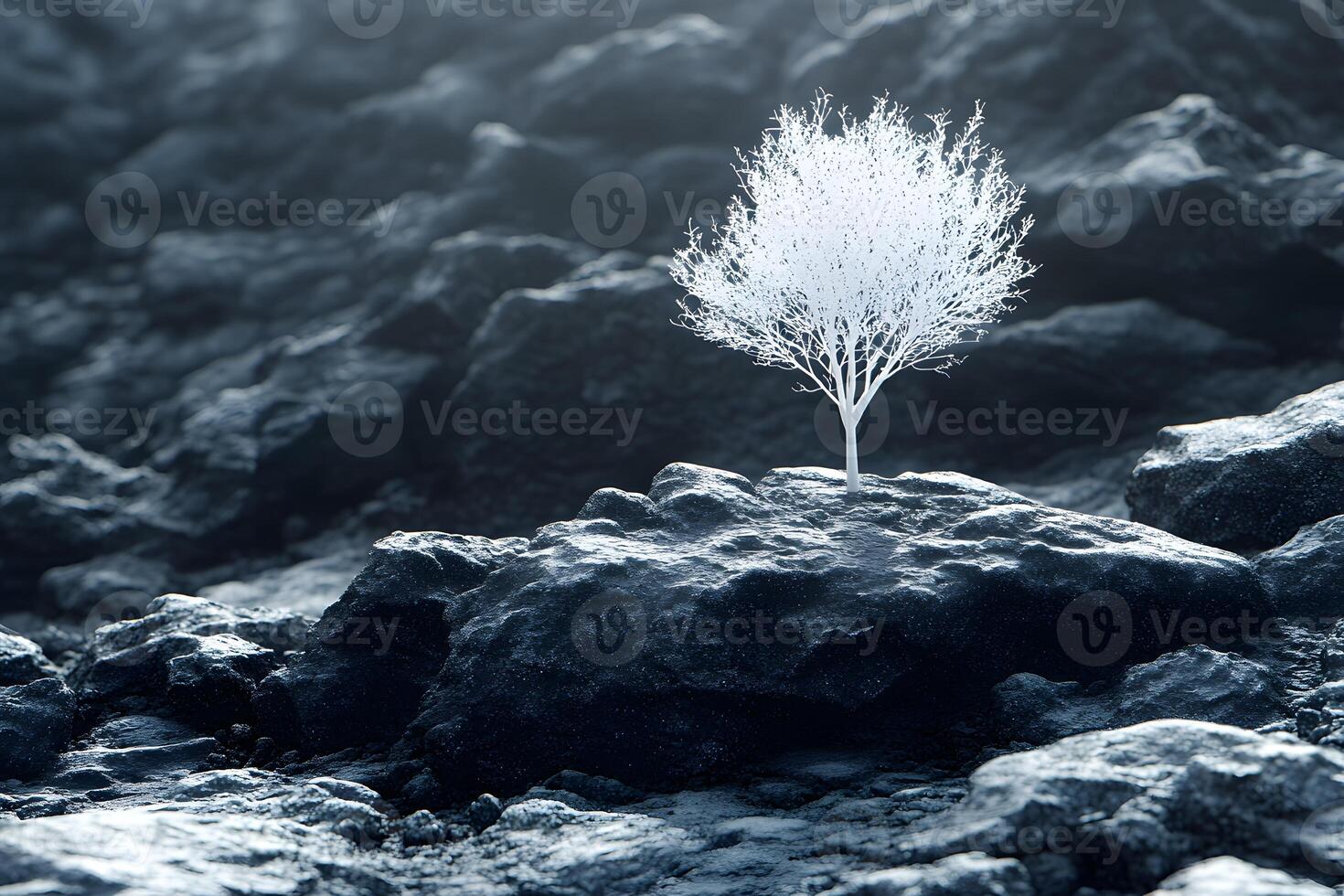Solitary White Tree on Rocky Terrain Surreal Winter Landscape Inspiration photo