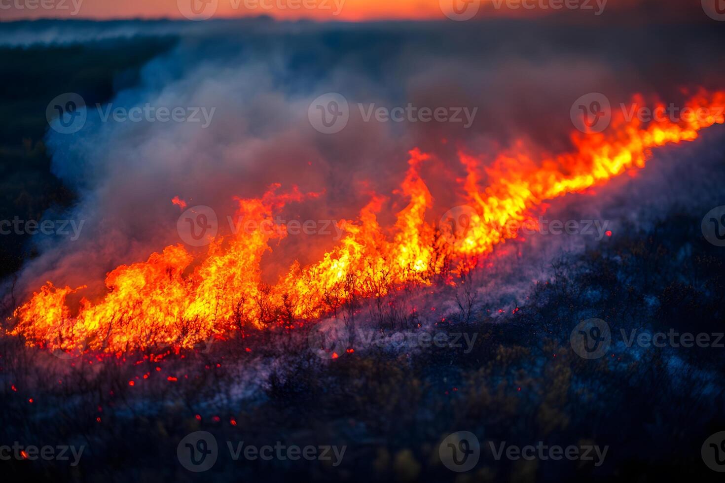 Wildfire Blaze Across Grassland at Sunset - Environmental Impact and Nature's Fury photo
