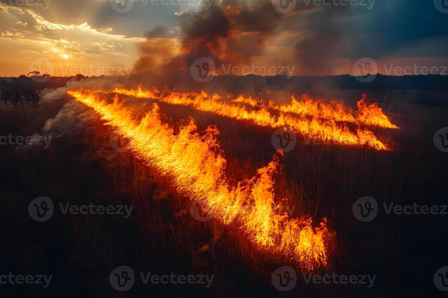 Wildfire Devastation at Sunset Intense Flames and Thick Smoke in a Forested Landscape photo