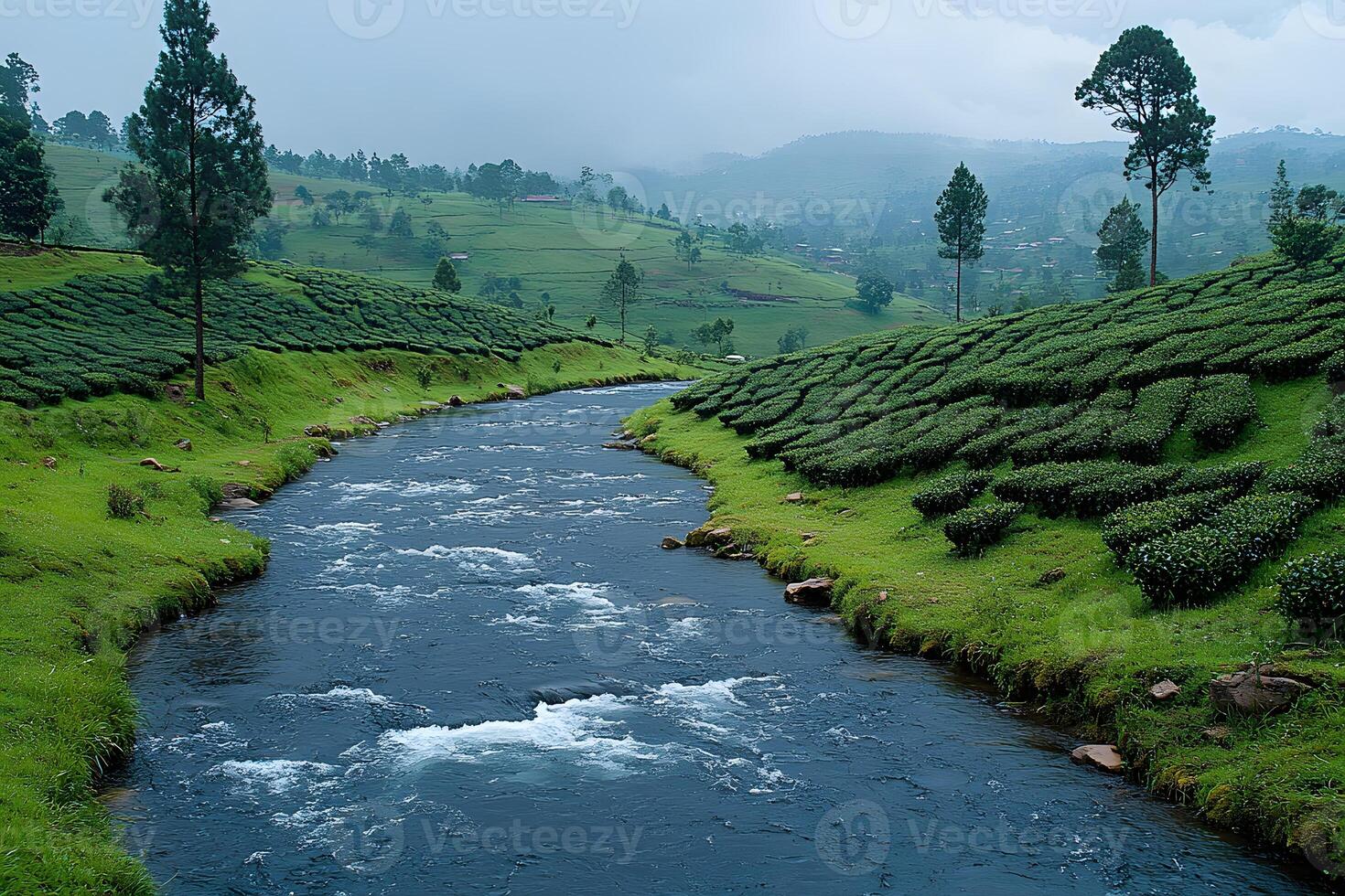 Serene Landscape of Lush Tea Plantations and a Meandering River photo