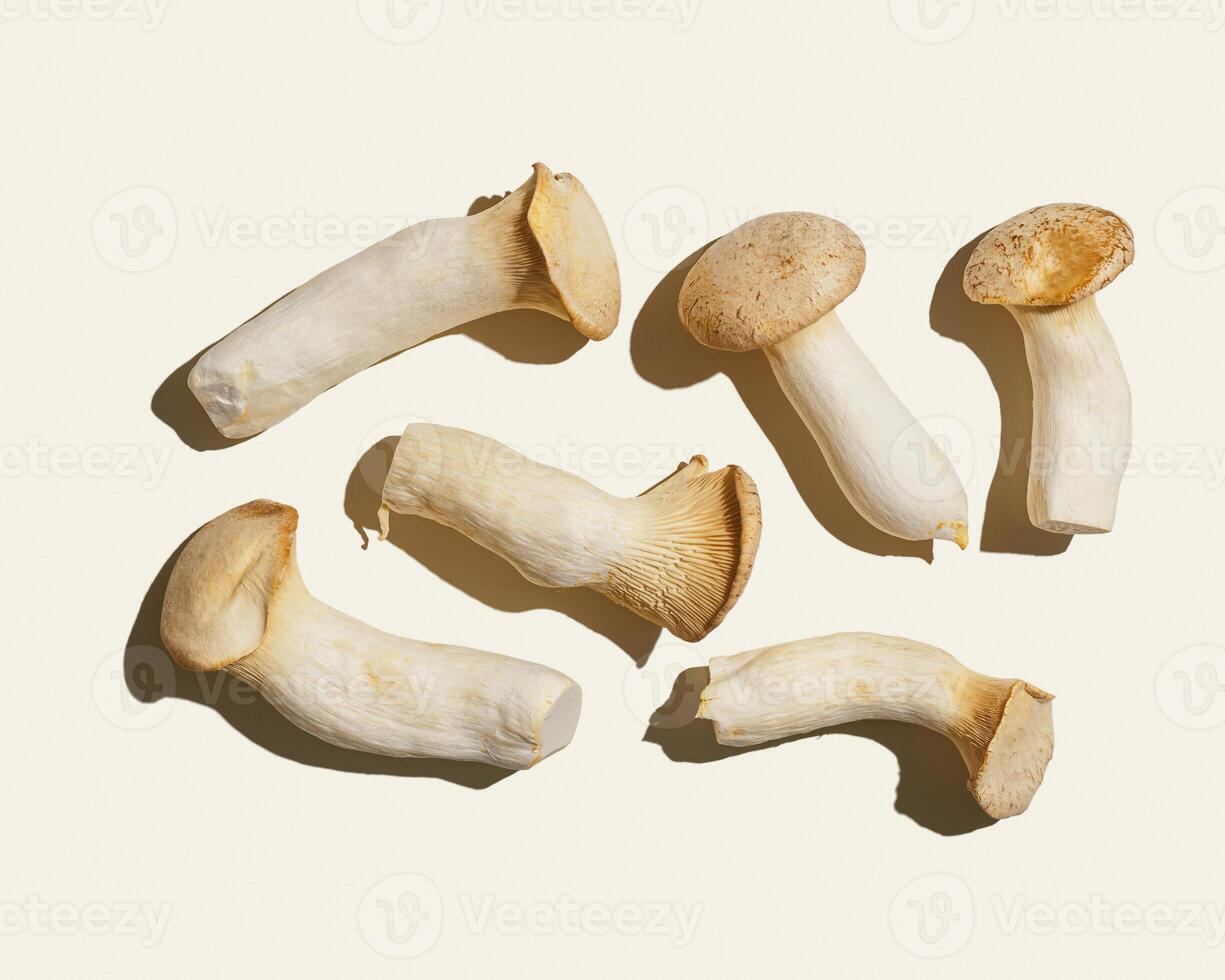 Pleurotus eryngii white mushrooms with shadows, edible fungus as minimal flat lay on beige background, top view pastel colored still life from whole mushroom at hard light, alternative proteins. photo
