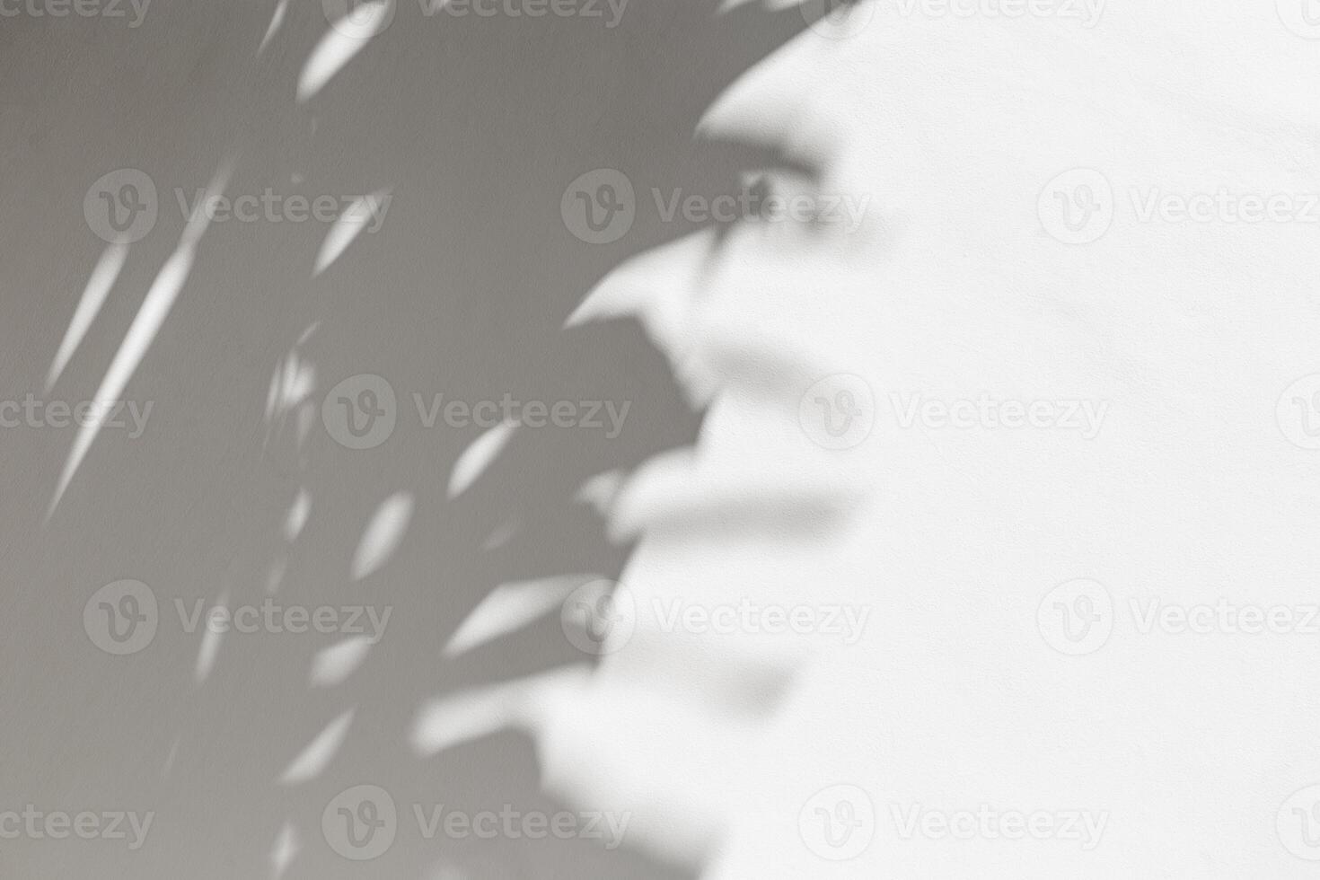Summer minimal style background with blurred shadow from natural palm leaf on light gray white background, hard light, copy space. Aesthetic photo with palm shadows on white wall at sunlight.
