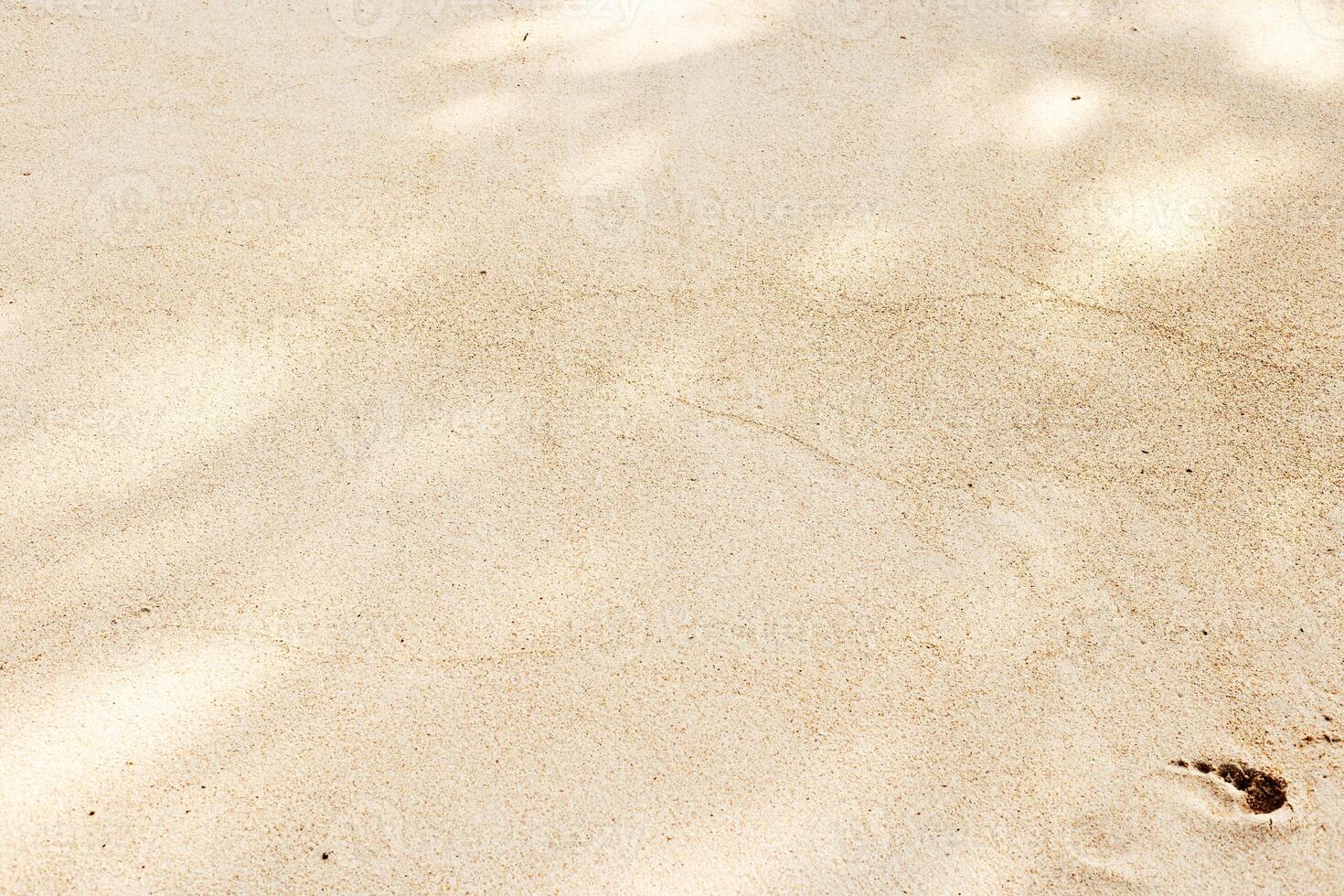 Pristine Beach Sand with Subtle Textures Untouched fine sandy beach with delicate shadows and soft textures, punctuated by single footprint, invoking sense of solitude and serene beauty of nature. photo