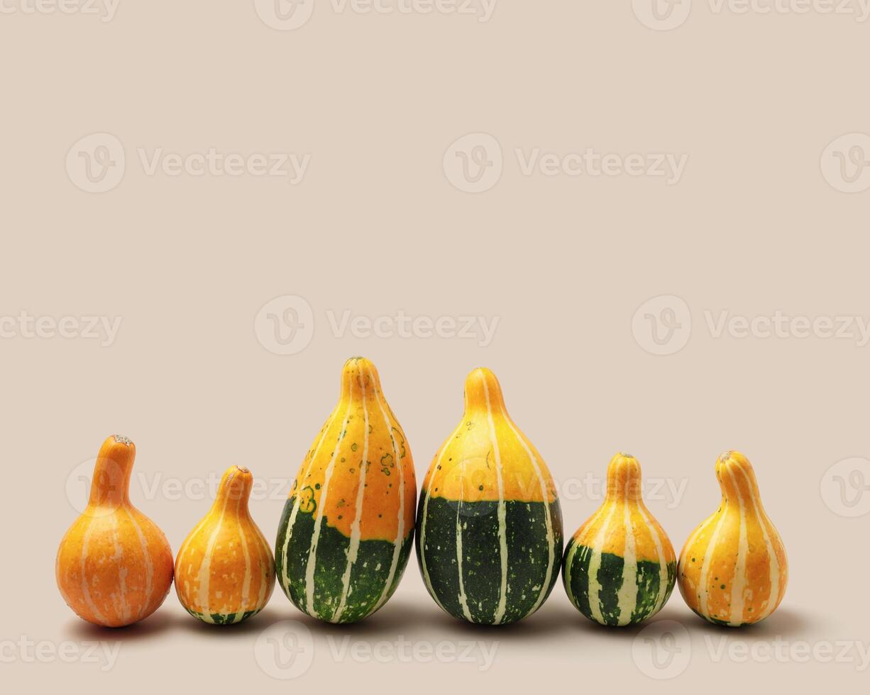 Decorative pumpkins on beige background. Minimal style aesthetic photo, stylish autumn concept, Halloween and Thanksgiving holiday. Mini cucurbita or squash, pastel color, autumnal vegetables photo