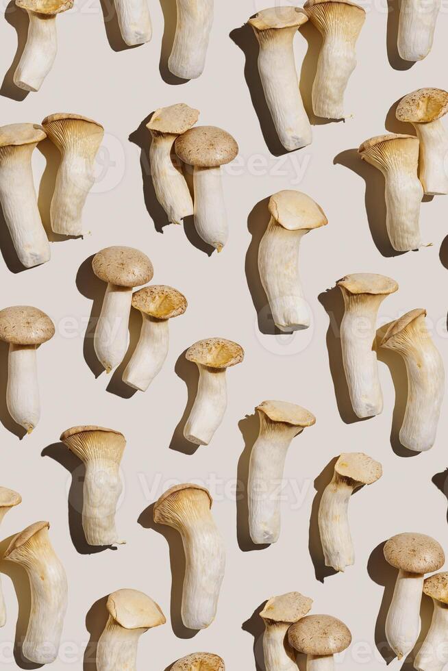 Pleurotus eryngii white mushrooms with shadows, edible fungus as minimal flat lay on beige background, top view pastel colored still life from whole mushroom at dark light, alternative proteins photo