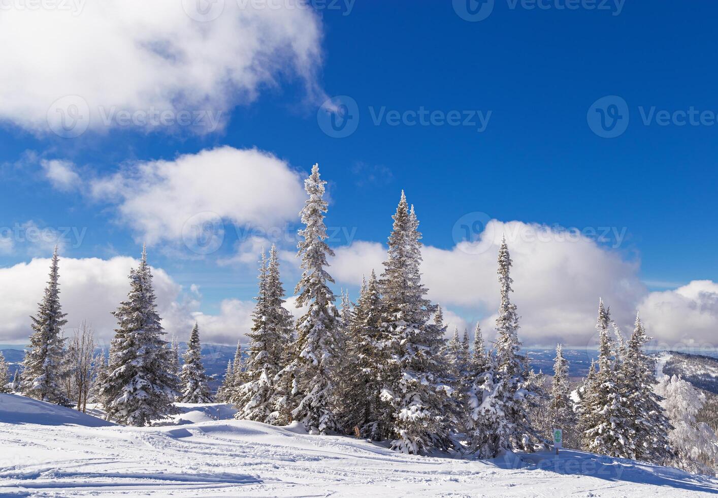 Natural Winter landscape in Sheregesh ski resort in Russia, Cold weather, white snow slope, fir trees covered frost on top of mountain, nature view with blue clouds sky, monochrome winter scene. photo