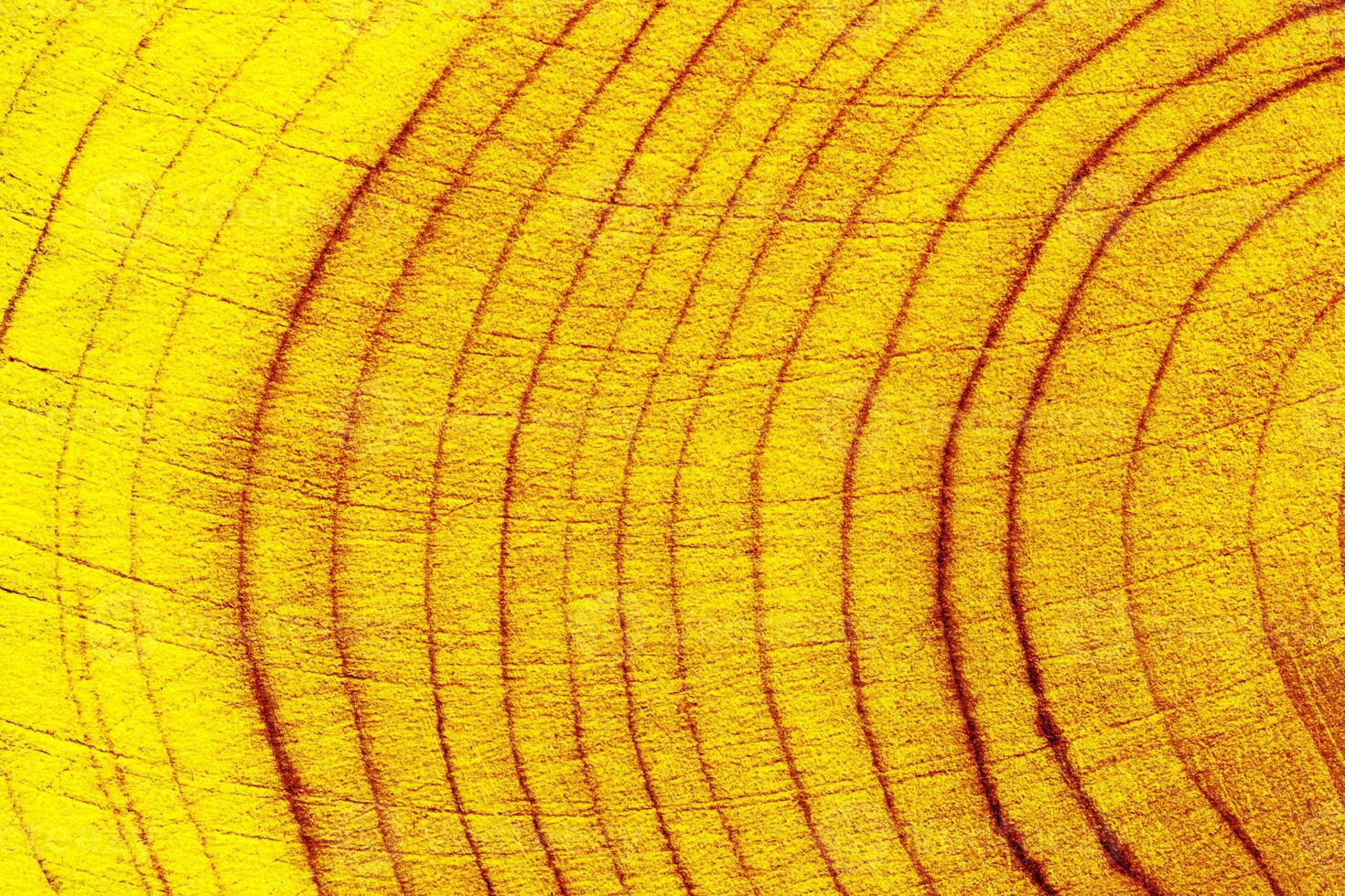 Yellow Colored wooden background, aesthetic wood texture annual rings. Macro photo of cross section of juniper log, geometric nature organic pattern trend color. Monochrome gradient of timber closeup