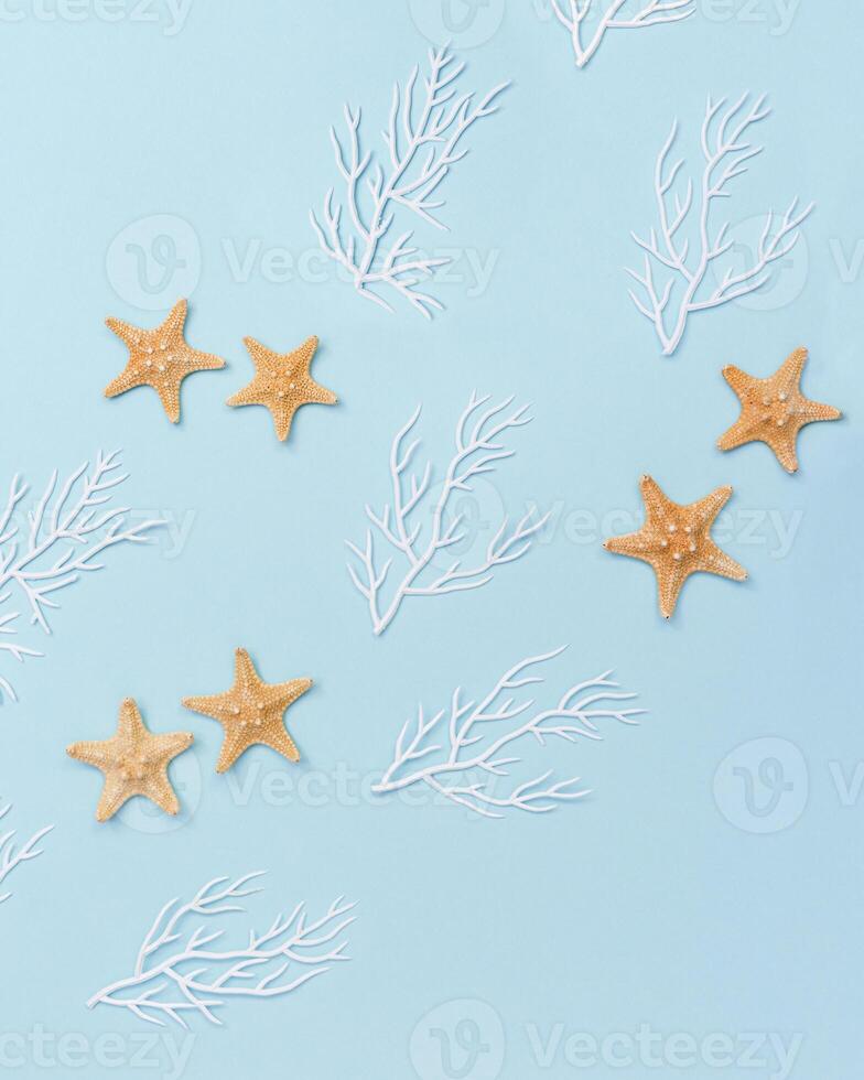 Summer nautic flat lay with sea stars and white coral on blue background. Theme of sea life. photo