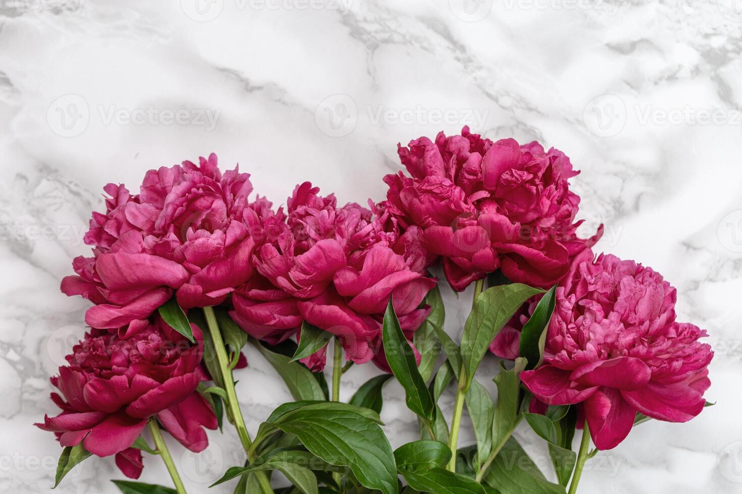 Red peony flowers on marble table. Natural summer blooms top view. Flowery holiday background. photo