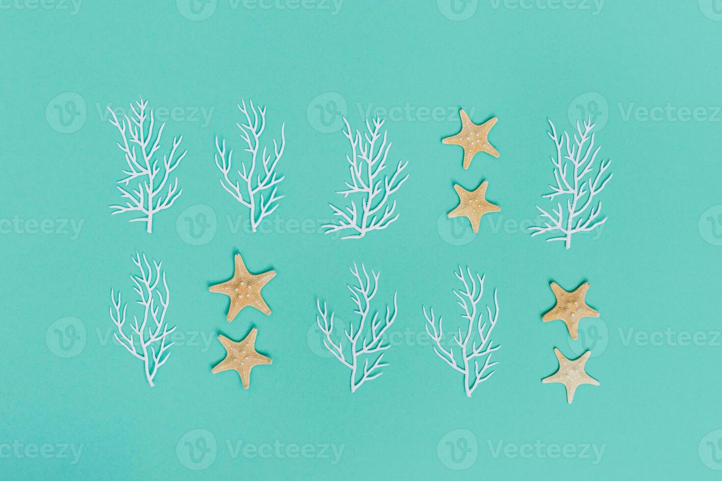 Summer pattern with star fishes and white coral. Marine or nautical theme photo