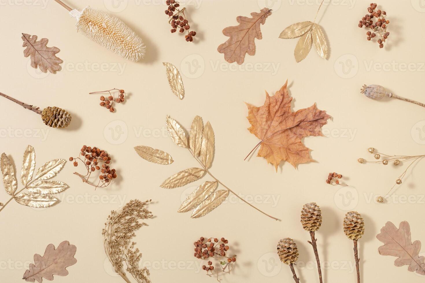 Autumn pattern with yellow and golden autumn leaves, natural dry berries. Fall time concept. photo