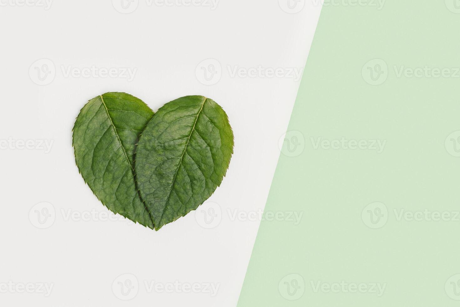 Natural green leaves in heart shape design Flat lay ecology friendly minimal concept photo