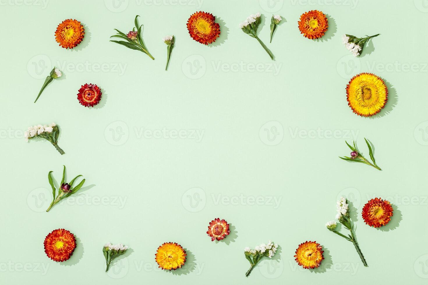 Flowers composition. Frame made of dried different flowers on sort green. Floral design background. photo