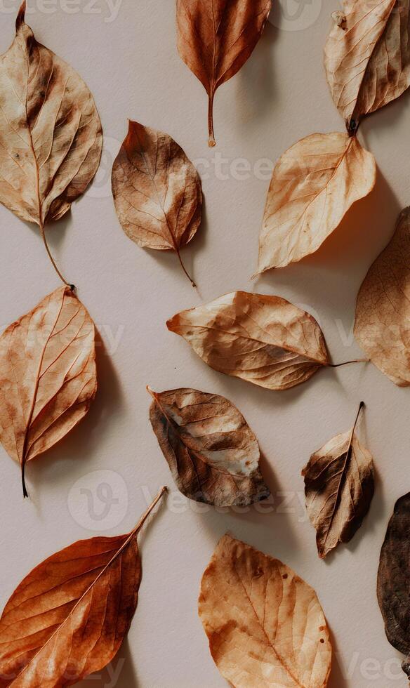 Autumnal Serenity A Gentle Symphony of Dried Leaves Creating a Calming and Natural Composition for Fall photo