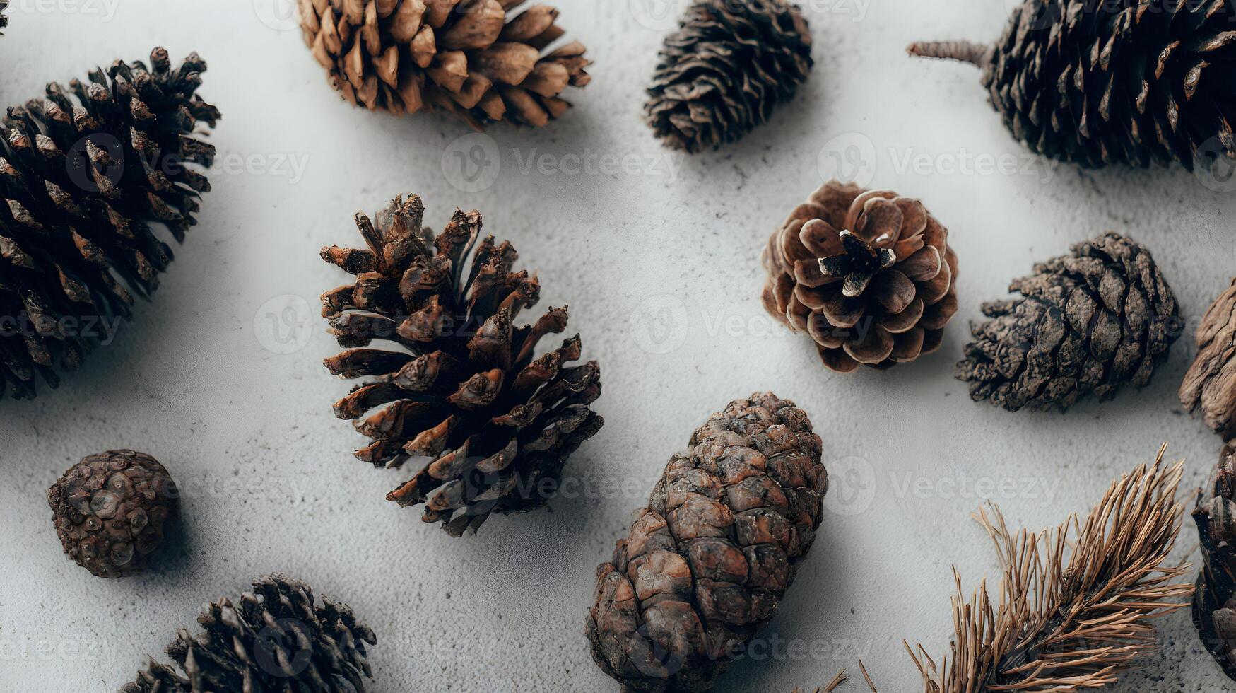 Collection of varied pine cones scattered across a clean white surface creating natural patterns photo