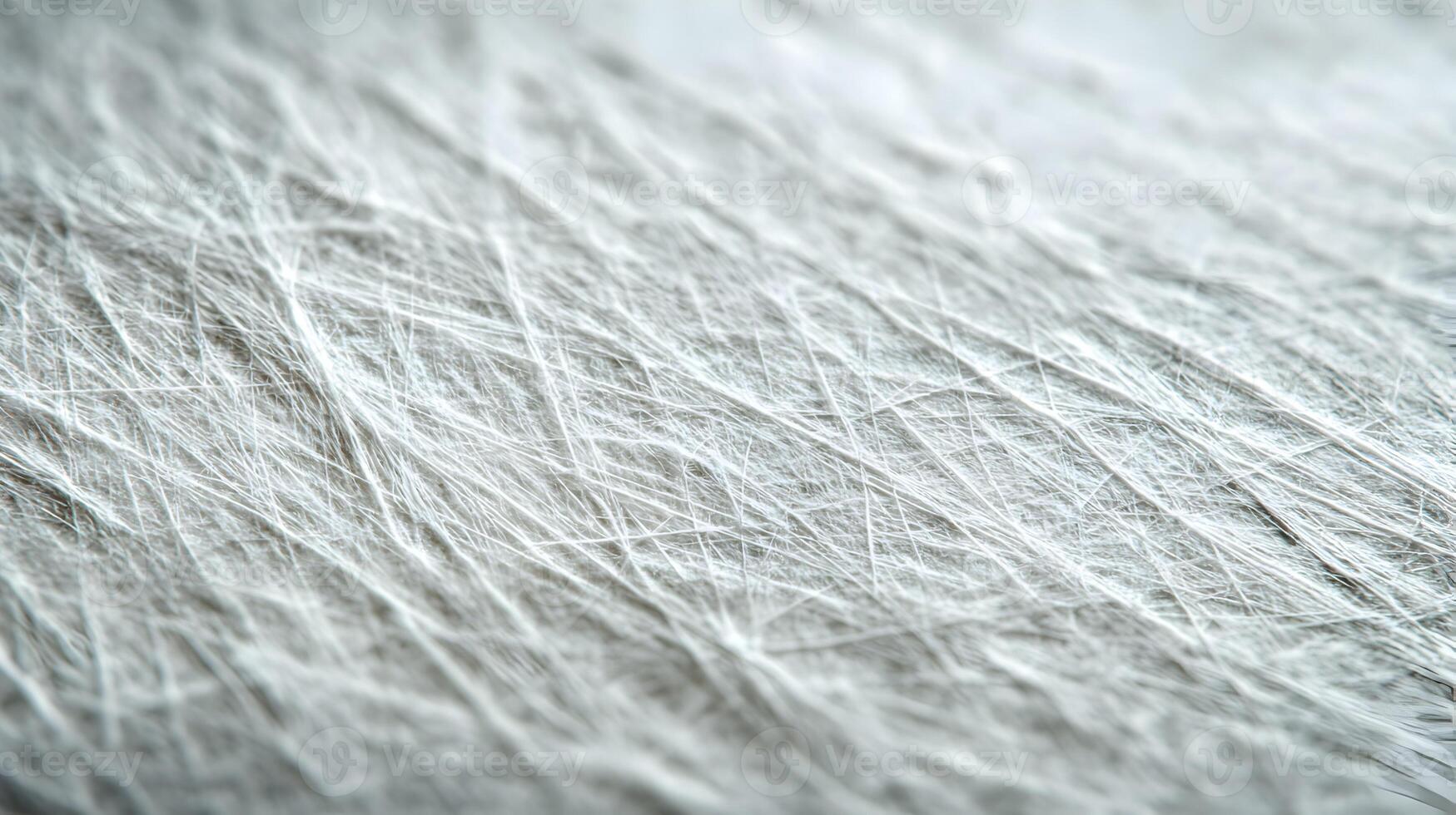 Abstract fibrous texture background with a pattern of interwoven delicate strands of white material photo
