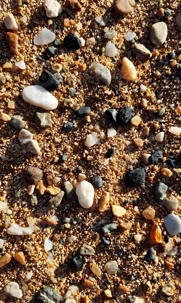 Sandy shore with smooth pebbles in various colors on a sunny day creating a natural texture and pattern photo