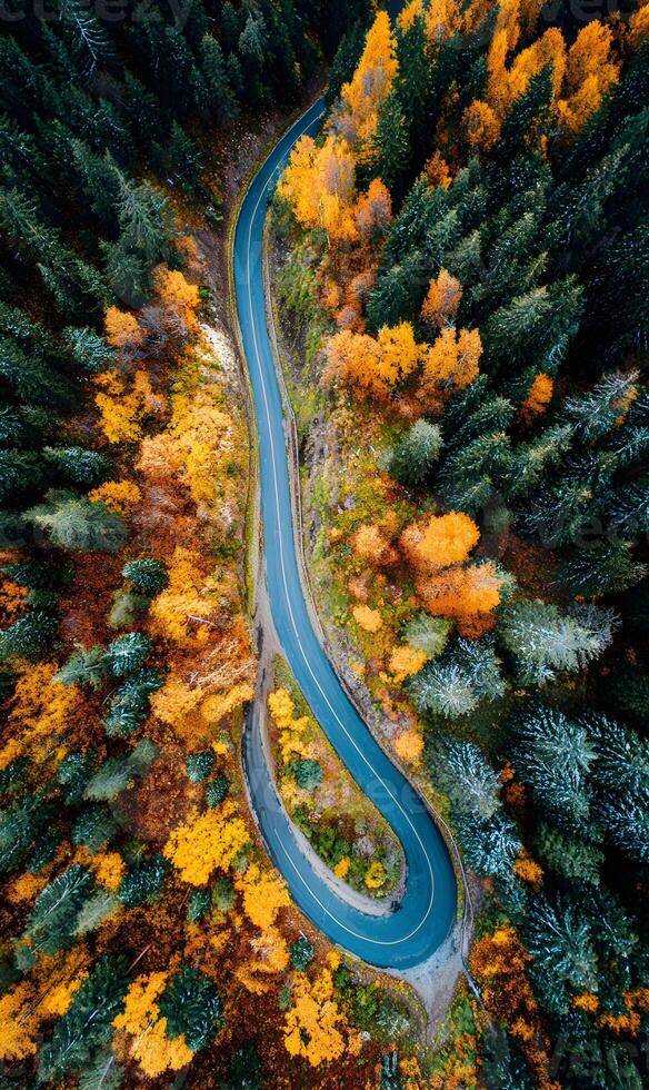 Aerial view of a winding road through a colorful autumn forest, showcasing natural beauty and travel destinations, ideal scenic landscape photo