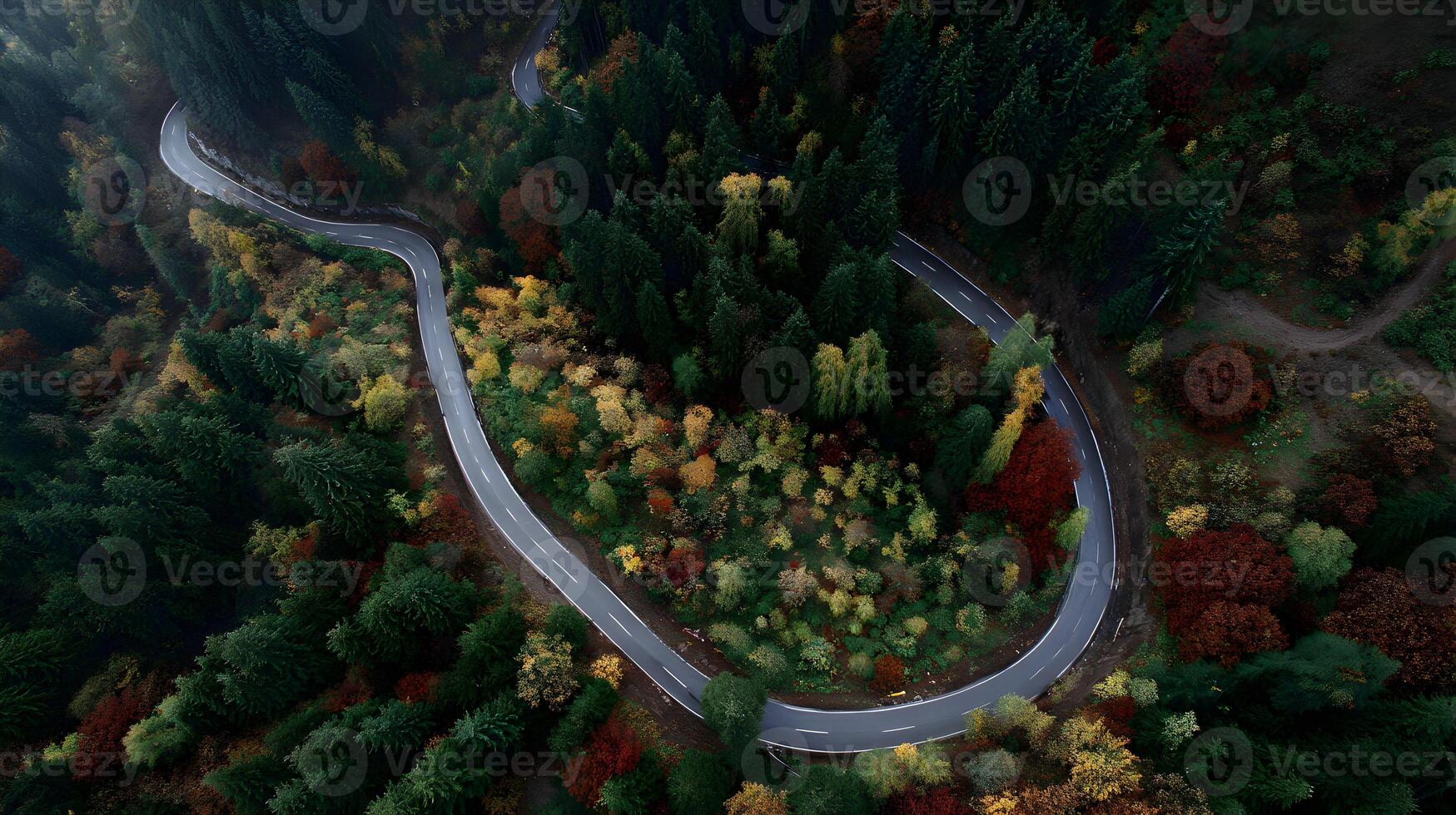 Aerial view of winding road cutting through autumn forest with vibrant foliage and evergreen trees photo