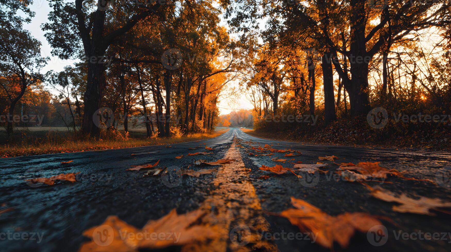 Autumn road scenery with golden sunlight filtering through the trees and fallen leaves scattered photo