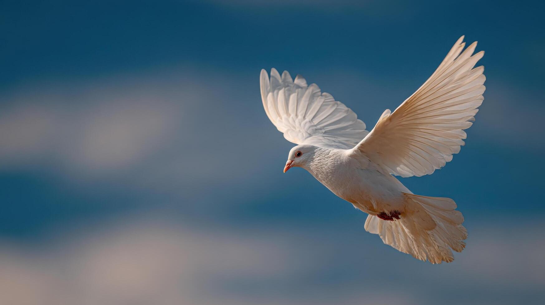A symbol of peace white dove in graceful motion against blue backdrop photo