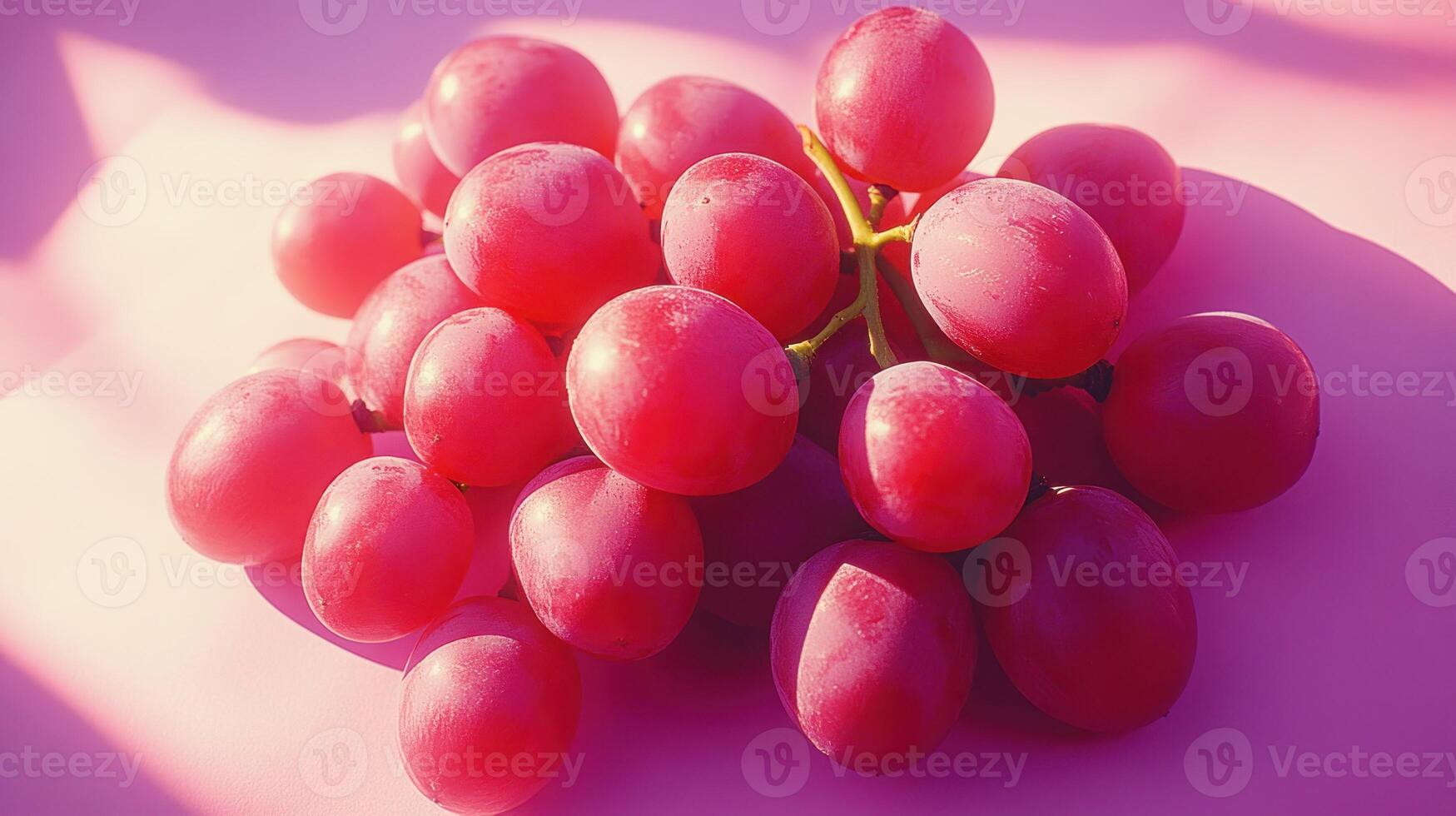 Pink grapes cluster close-up photo
