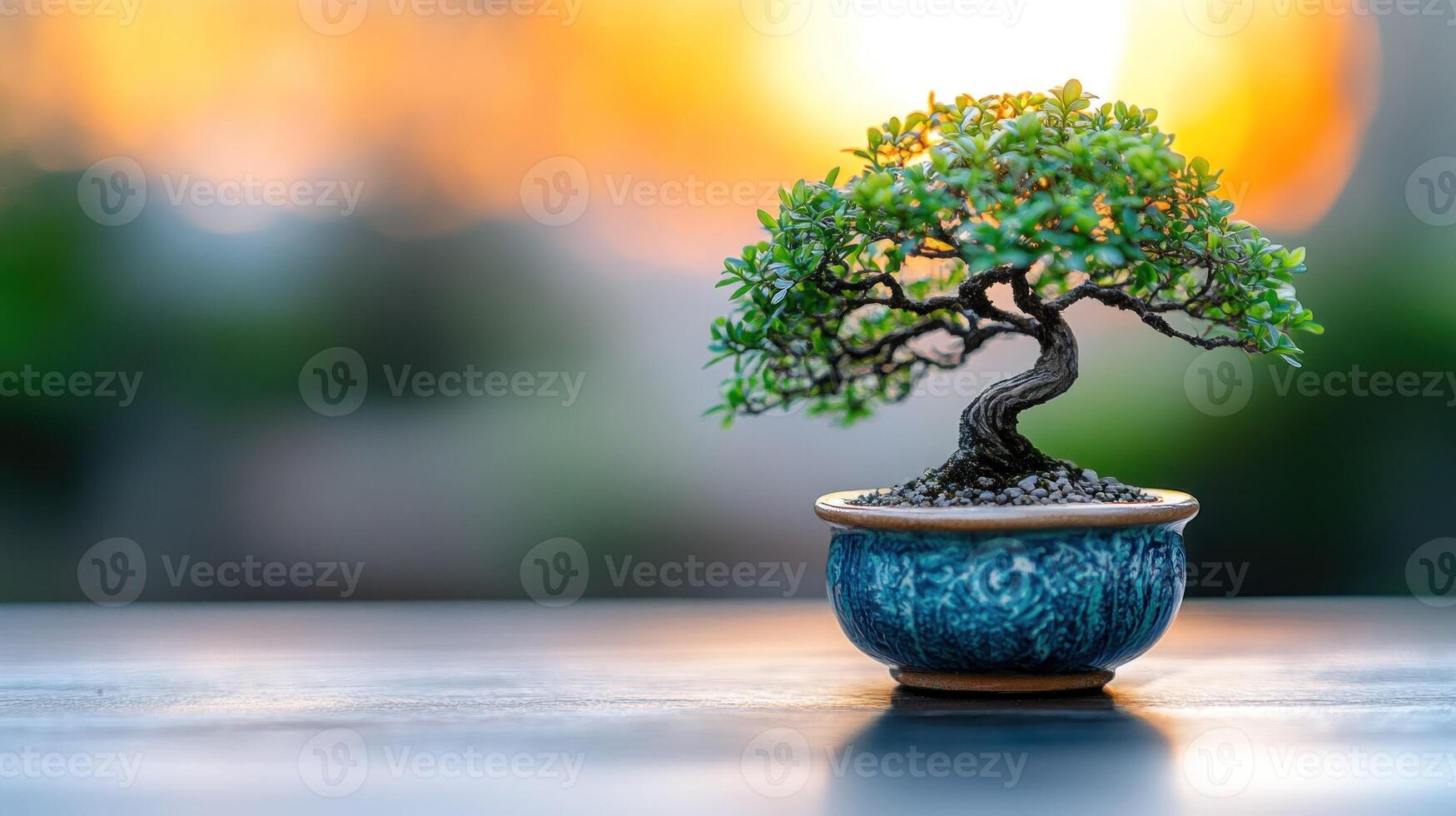 Miniature bonsai tree in a decorative pot at sunset photo