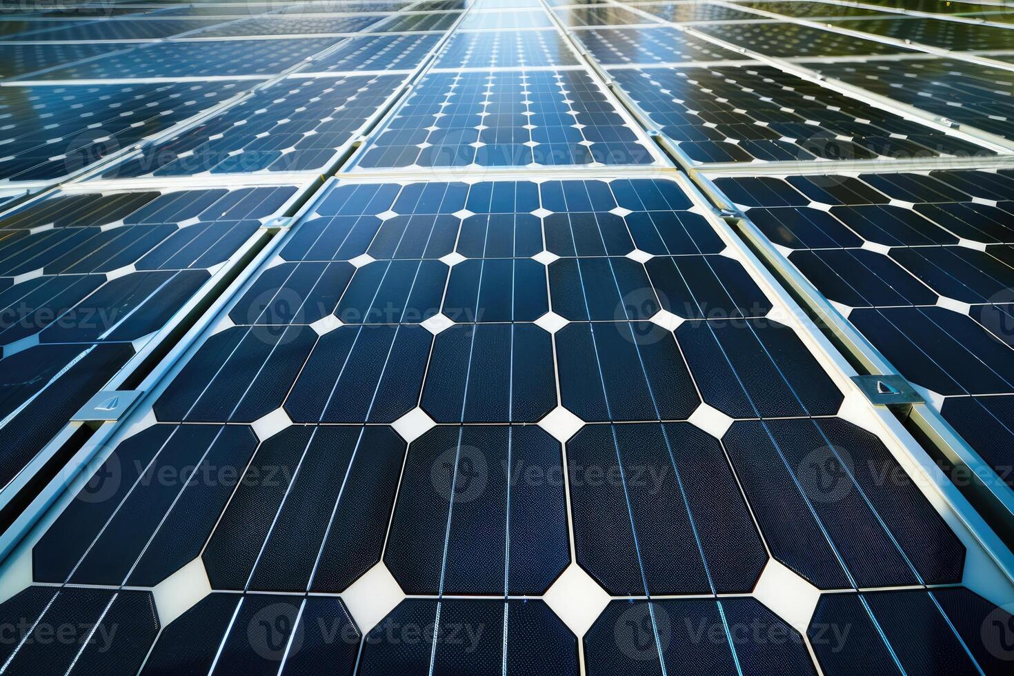 Solar Panel Array Energy Renewable photo