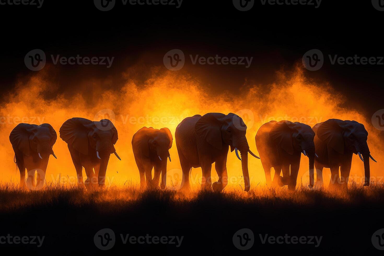 Elephants Silhouette at Sunset Amidst Orange Dust photo