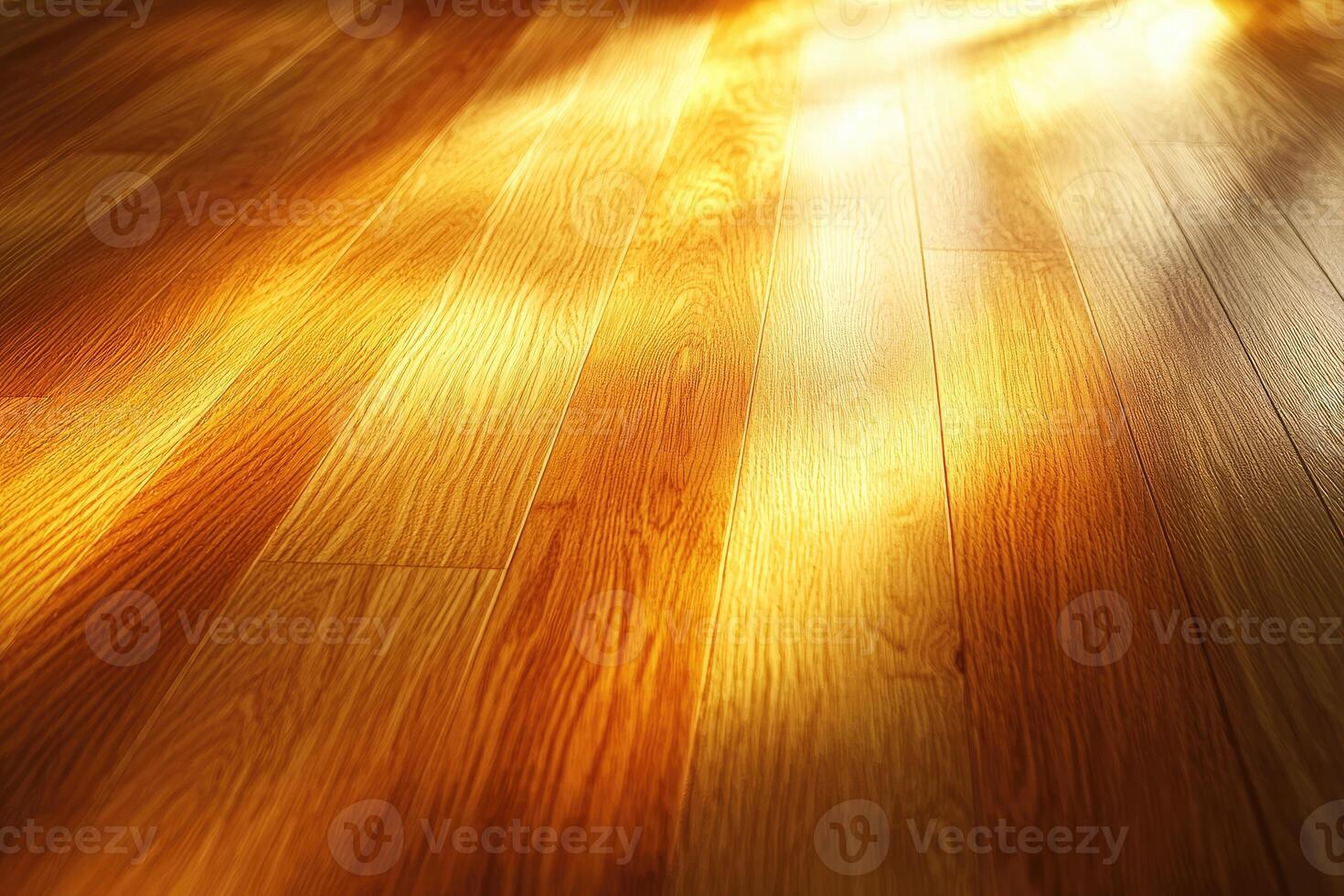Warm Sunlight Illuminates Rich Wooden Floorboards photo