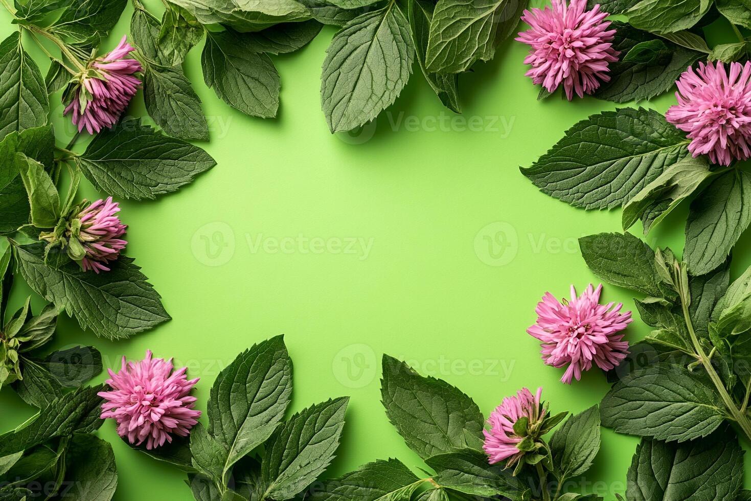 Top view Bee Balm on a vibrant background, flower setting photo