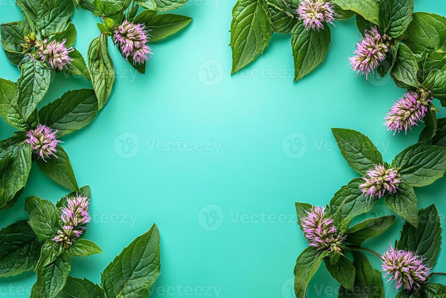 Top view photorealistic Bee Balm, flower set on a vibrant background photo