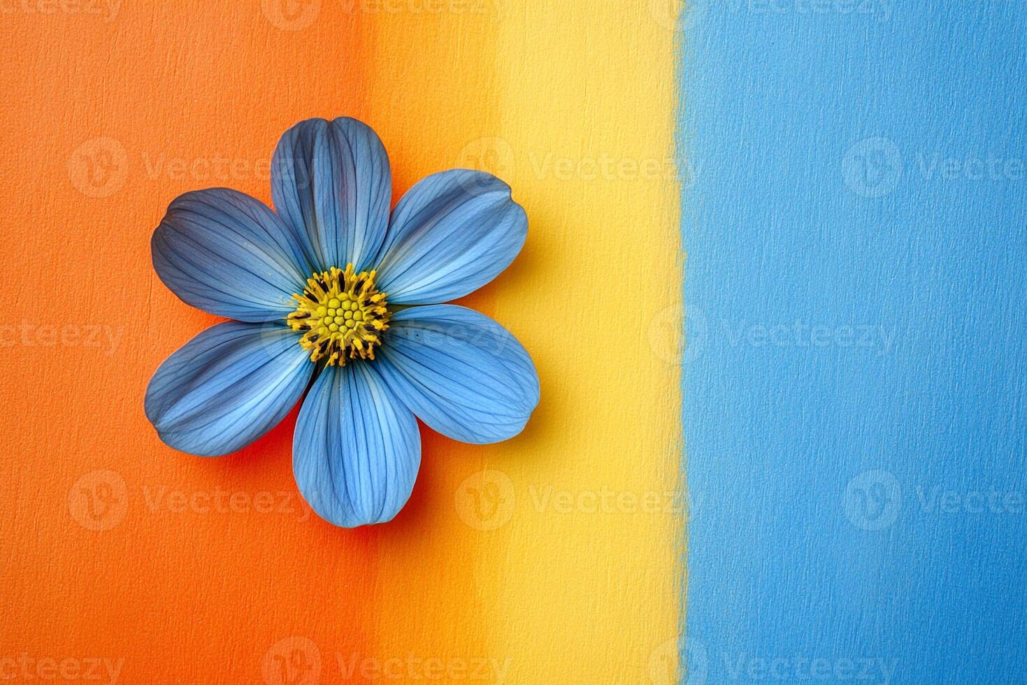 Top view Bellflower on a vibrant background, flower setting photo