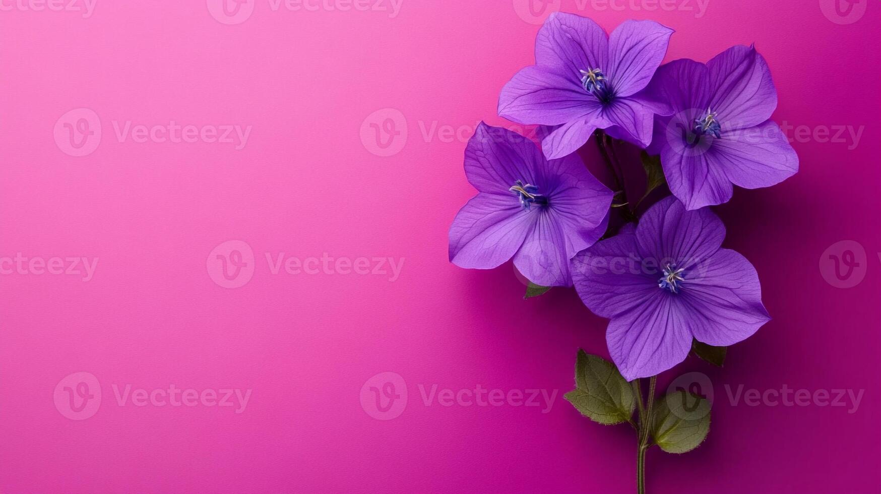 Top view photorealistic Bellflower dwarf species, flower set on a vibrant background photo