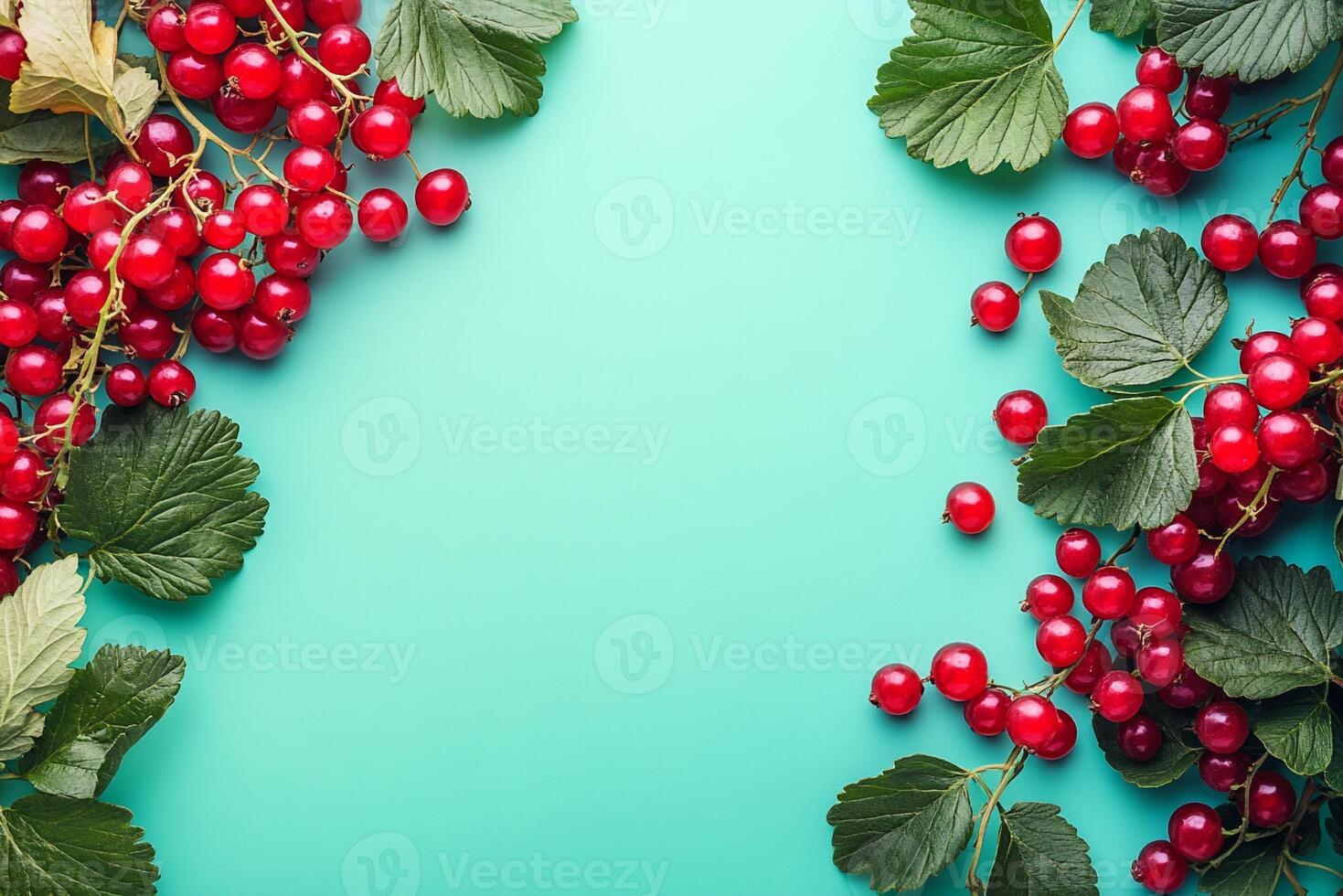 Top view Currant on a vibrant background, plant setting photo