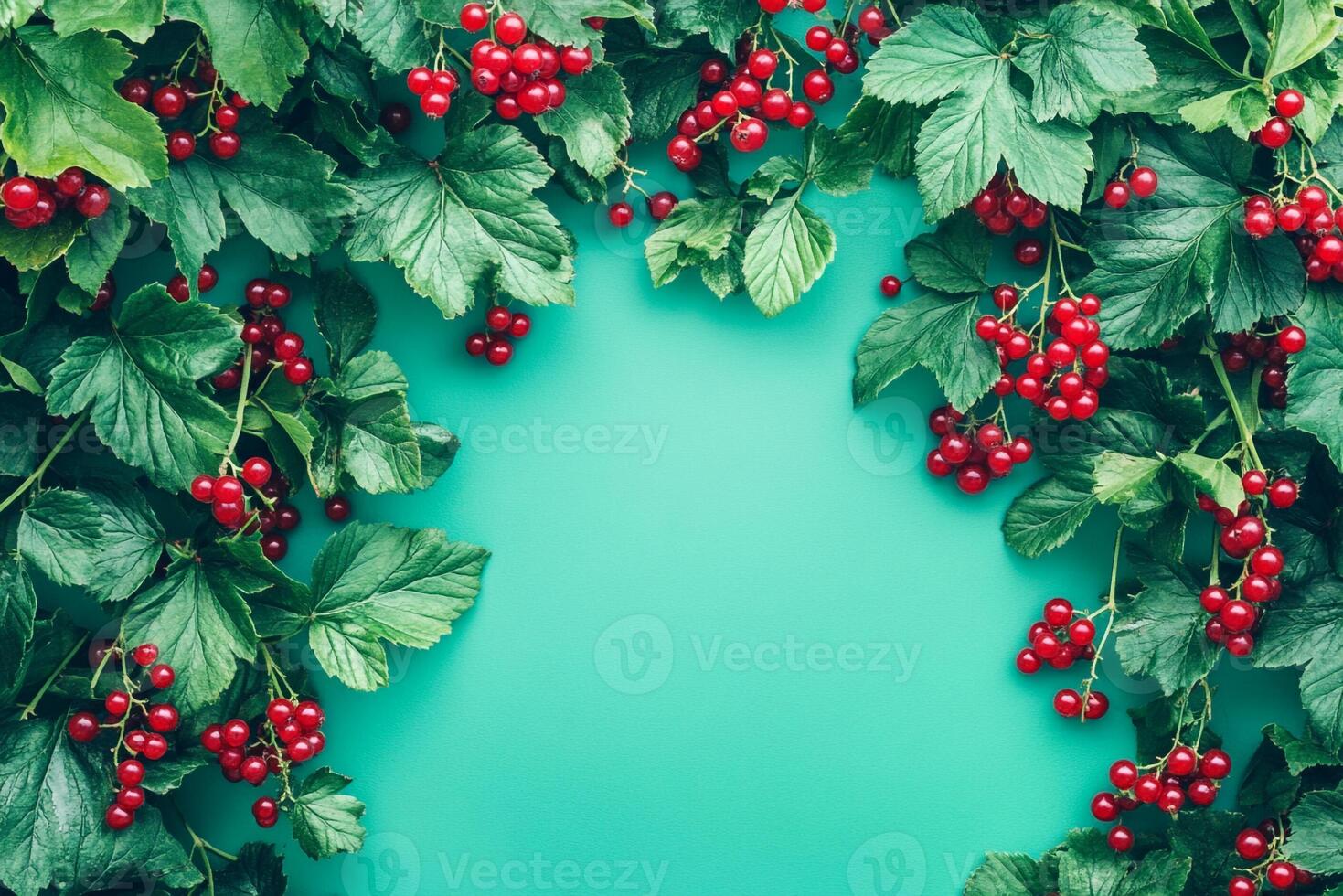 Top view Currant Bush on a vibrant background, plant setting photo