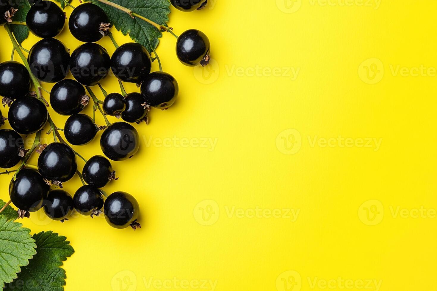 Currant on a vibrant background, top view photorealistic plant photo