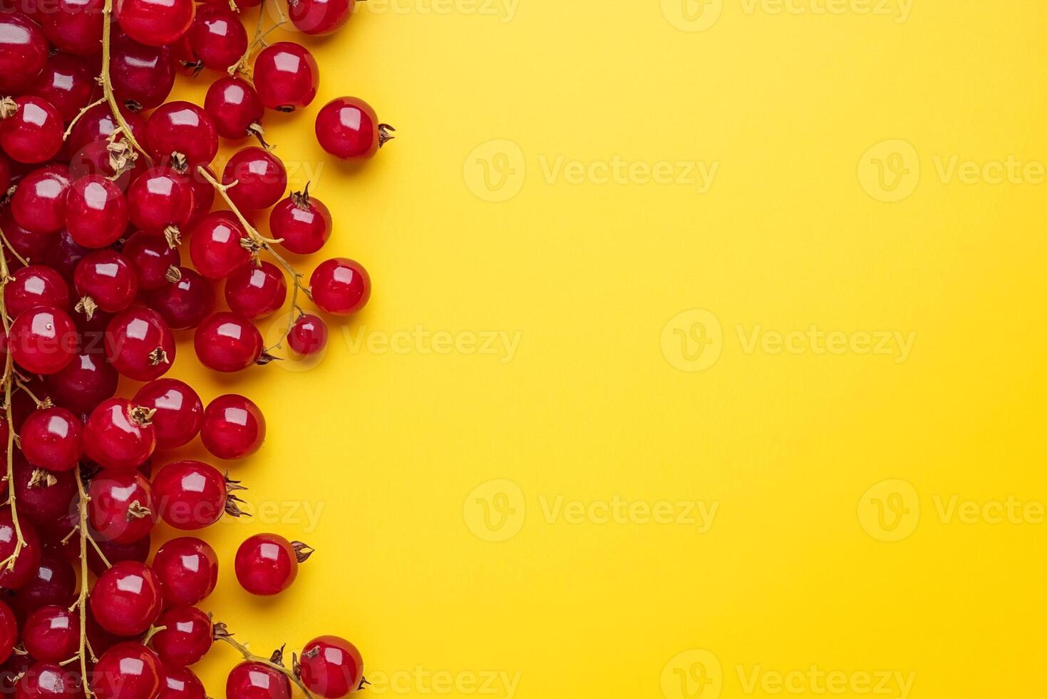 Currant on a vibrant background, photorealistic top view Currant plant photo