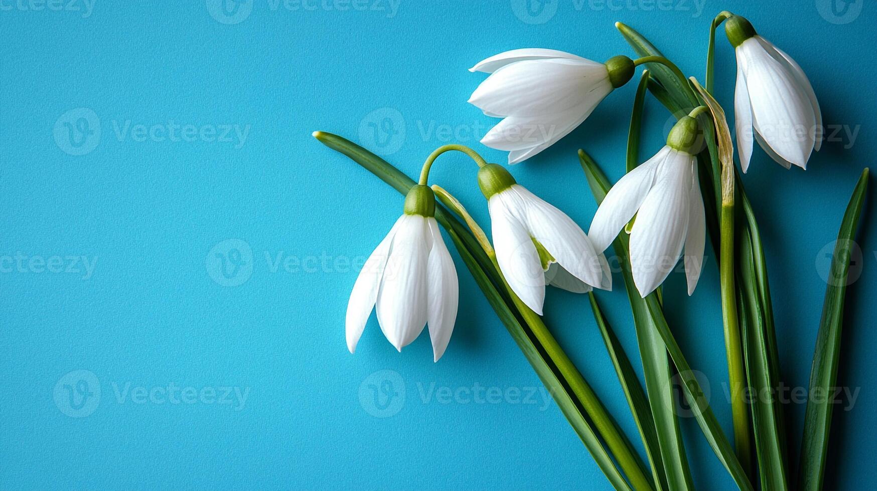 Galanthus on a vibrant background, top view photorealistic flower photo