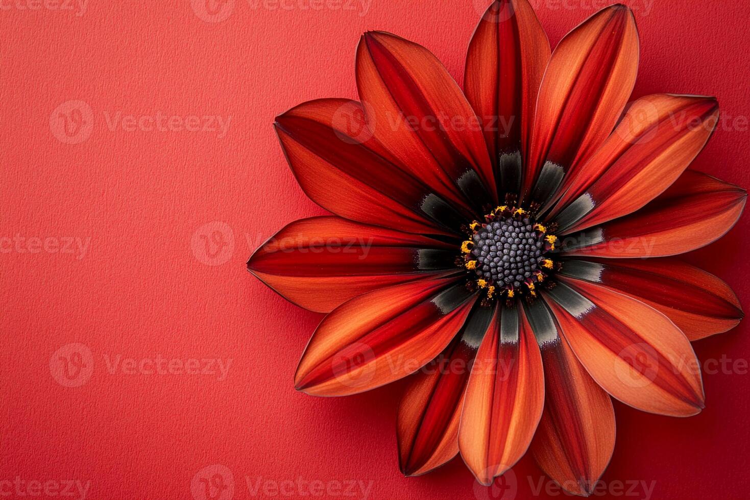 Gazania on a vibrant background, top view photorealistic flower photo