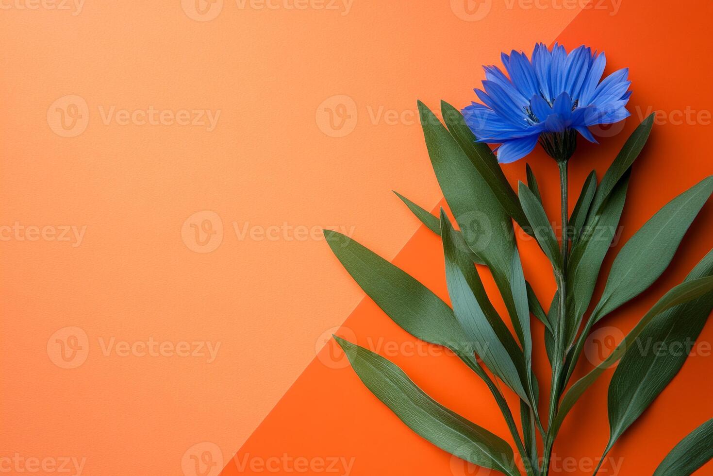 Gentian on a vibrant background, photorealistic top view Gentian flower photo