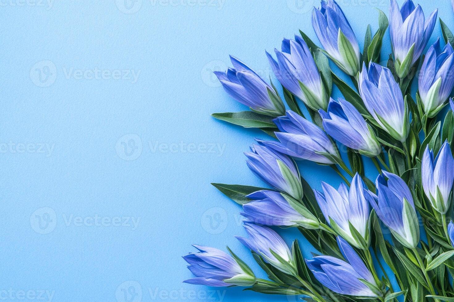 Gentiana on a vibrant background, photorealistic top view Gentiana flower photo