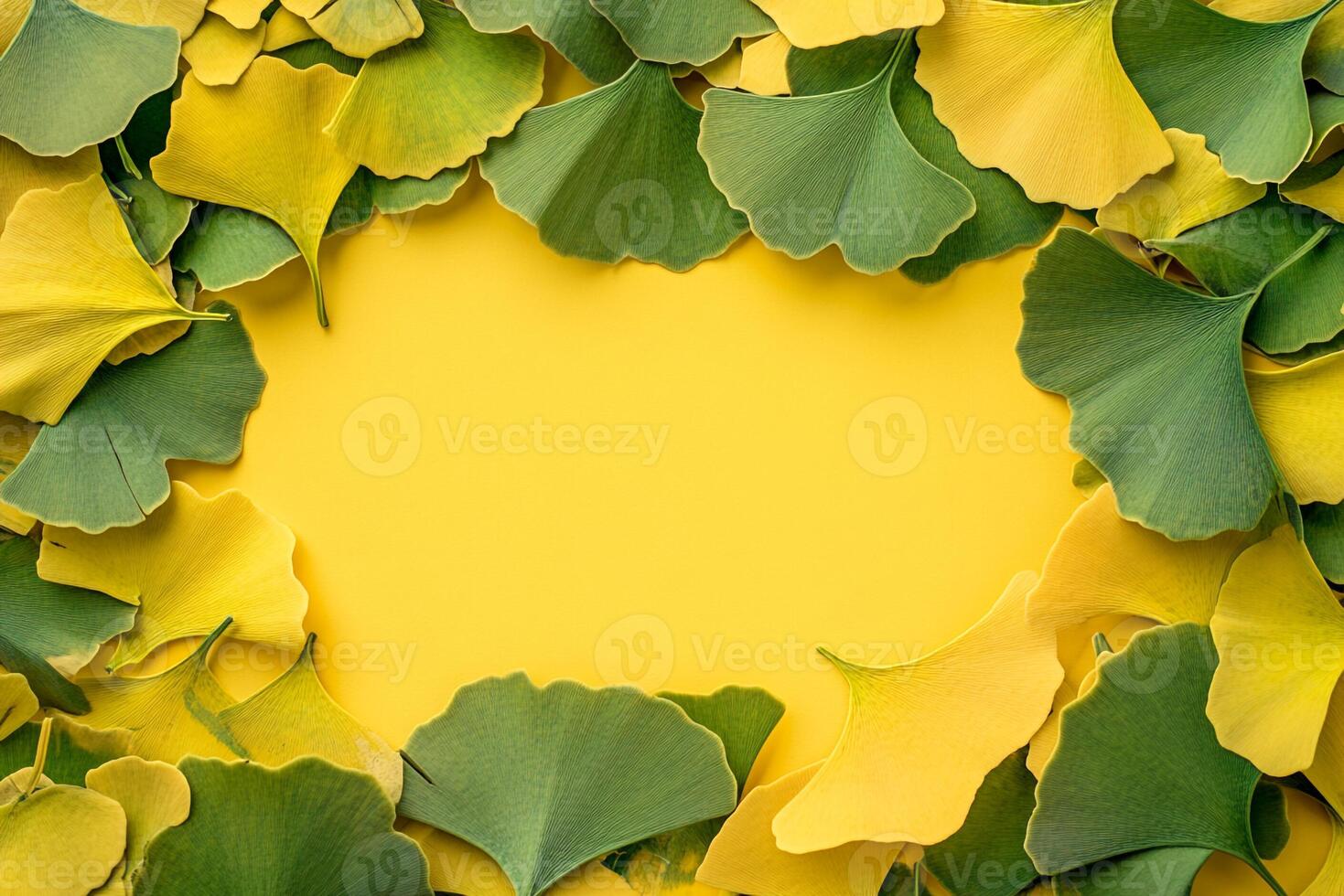 Ginkgo biloba on a vibrant background, top view photorealistic plant photo