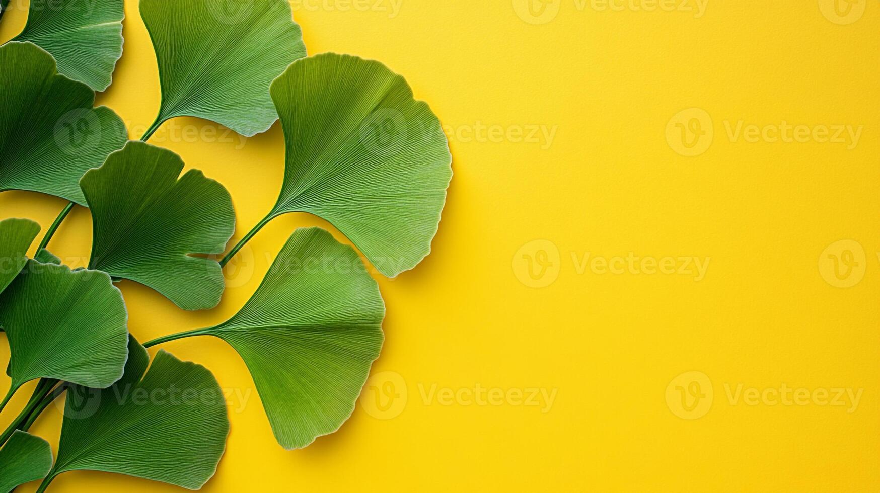 Top view photorealistic Ginkgo, plant set on a vibrant background photo