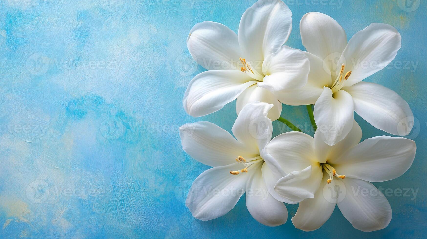 Glory of the Snow on a vibrant background, photorealistic top view Glory of the Snow plant photo