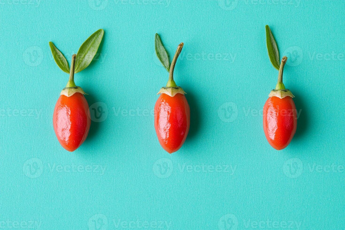 Top view Goji Berry on a vibrant background, plant setting photo