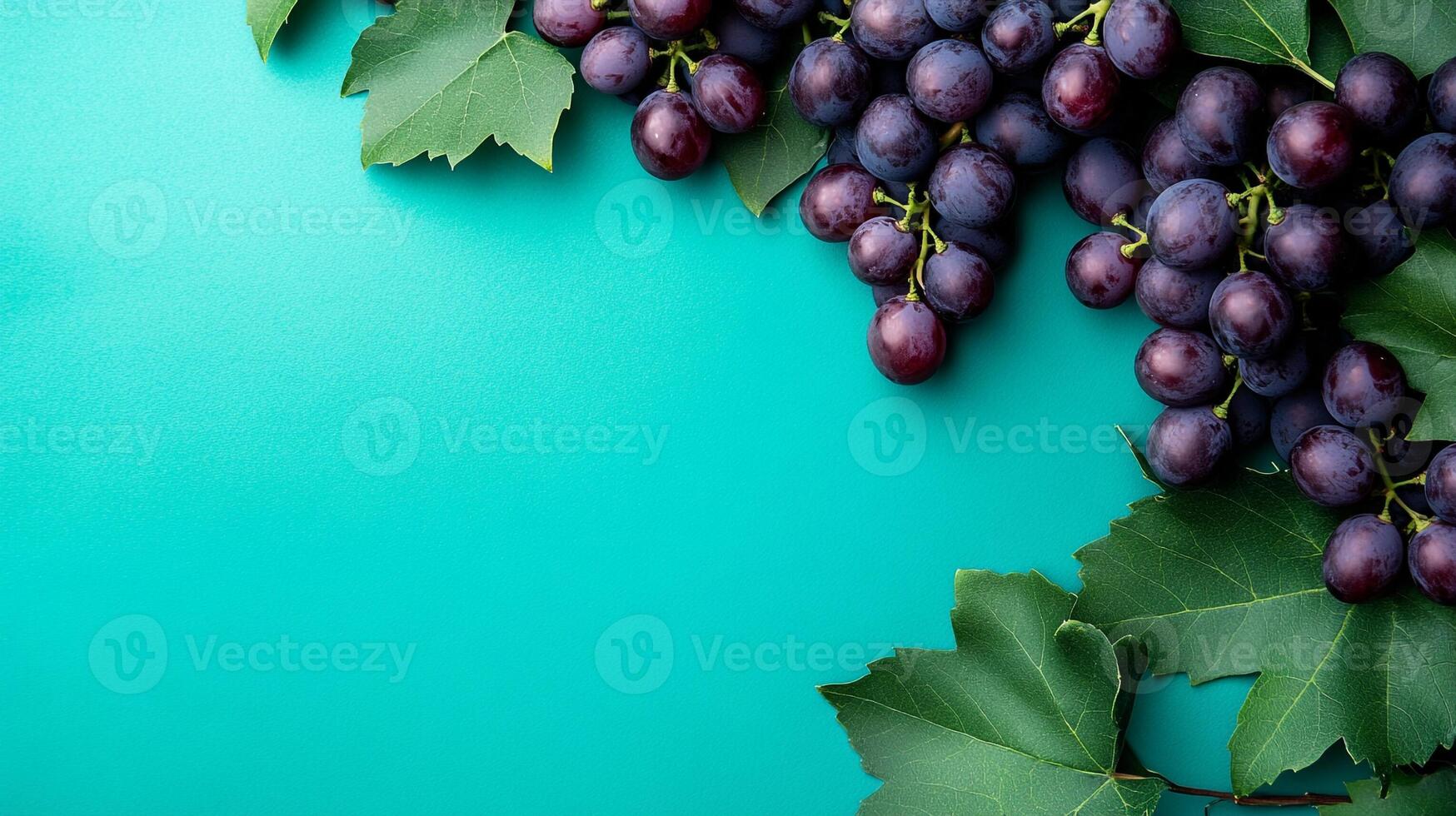 Top view Grape Vine on a vibrant background, plant setting photo